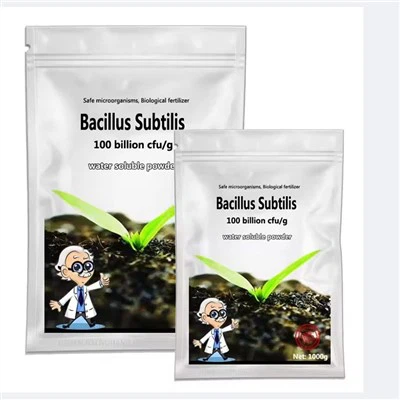 Микробна биотехнологија Бациллус субтилис Побољшајте пестициде плодности тла за пољопривреду
